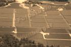 IMG_0463.jpg sepia