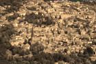 IMG_0490.jpg sepia