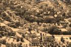 IMG_0607.jpg sepia
