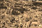 IMG_0626.jpg sepia