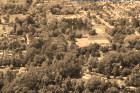 IMG_0707.jpg sepia