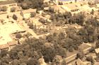 IMG_0860.jpg sepia